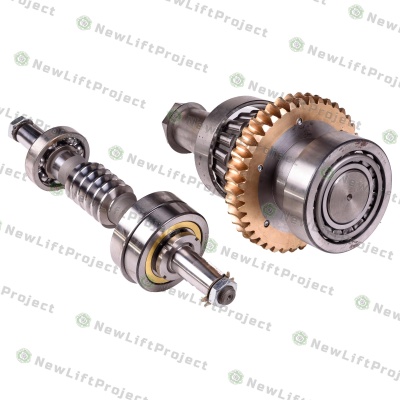 Пара червячная с подшипниками для редуктора РЧ 160х40 0471К.22.01.010А+0411К.02.01.020 КМЗ